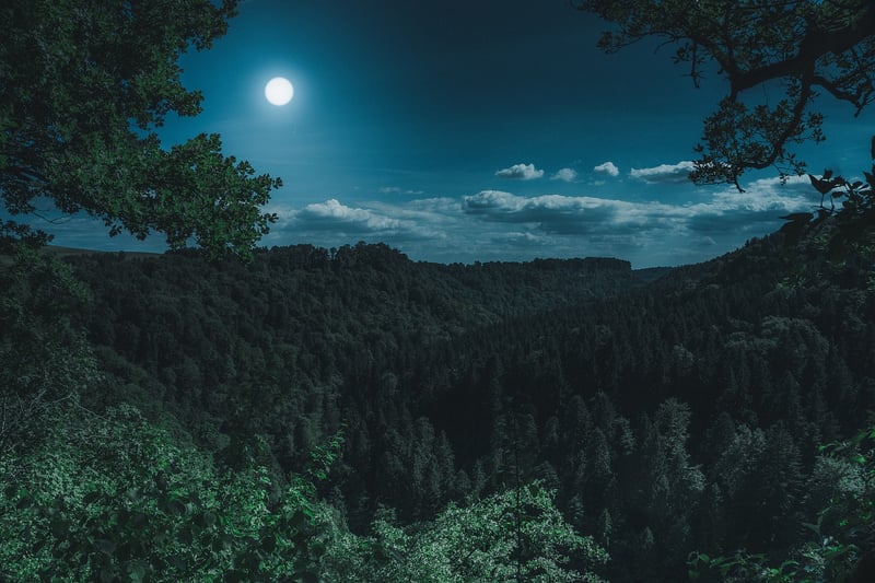 Moonlit Wedding Decor